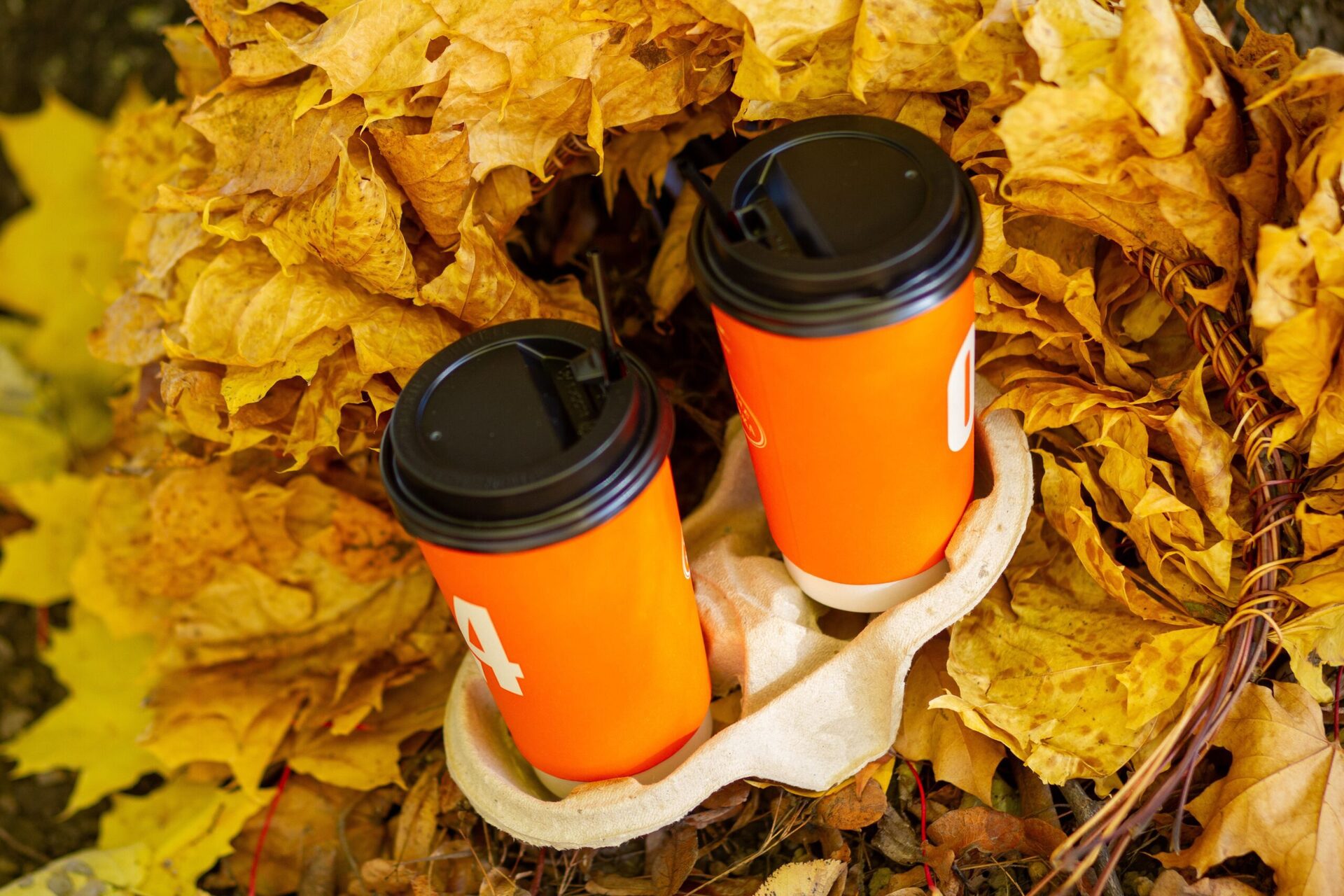 Motion Sensor LED Under Cabinet Light — Rechargeable USB-C 1 Bright orange coffee cups nestled in a bed of vibrant fall leaves, creating a cozy autumn scene.
